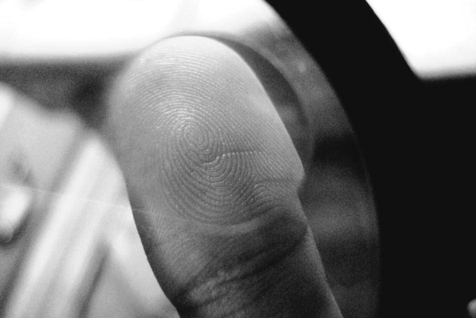 Fingerprint Whorls- Thumb Edition
