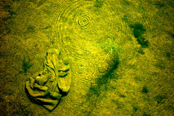 I hope those aren't Boxers